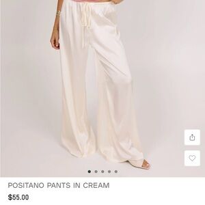 Positano pants in brown- size small (picture above to show style)